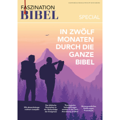 Faszination Bibel - In zw&ouml;lf Monaten durch die Bibel (Sonderheft)