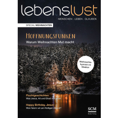 lebenslust - Weihnachten (Sonderheft, Verteilheft)